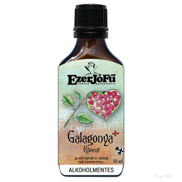 Ezerjófű - ALKOHOLMENTES - GALAGONYA+ KIVONAT 50 ML