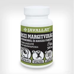   JAVALLAT®ŐSZI MARGITVIRÁG GYÖMBÉRREL ÉS KASSZIA FAHÉJJAL  60x