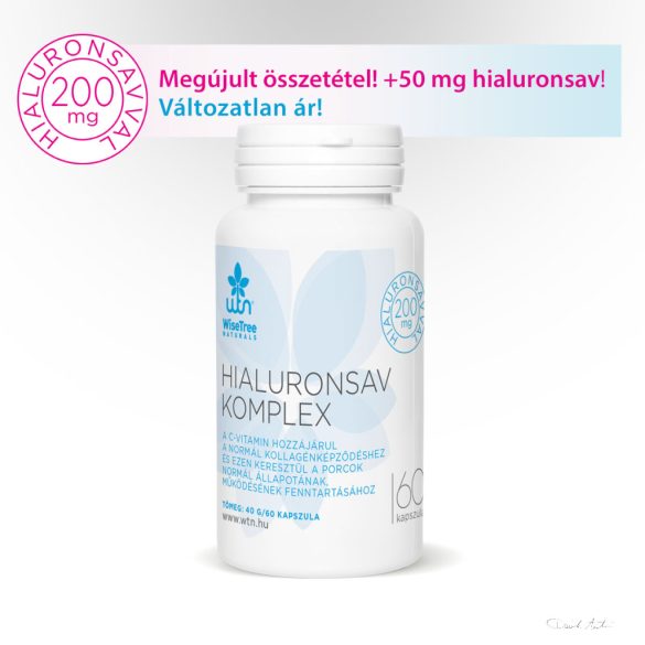 WTN HIALURONSAV KOMPLEX (HIALURONSAV KAPSZULA) 60x