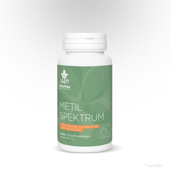 WTN METIL SPEKTRUM 60x