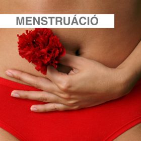 Menstruációs ciklus