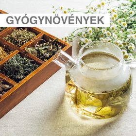  Gyógynövények