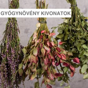 Gyógynövények, növényi kivonatok