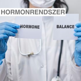 Hormonrendszer